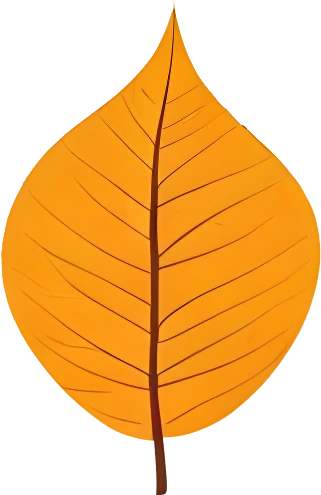 rendy Foliage Design, Leaf PNG Download, Tropical different type exotic leaves set_17.webp